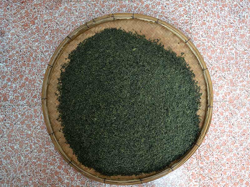 明日葉茶